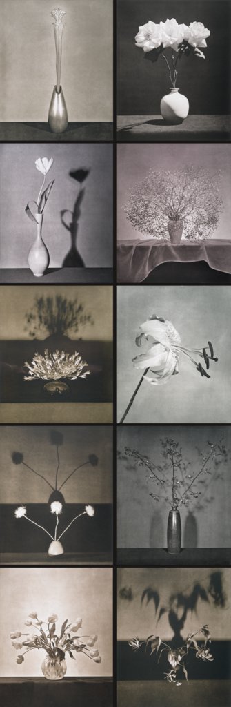 Untitled, from the series: Flowers, Robert Mapplethorpe