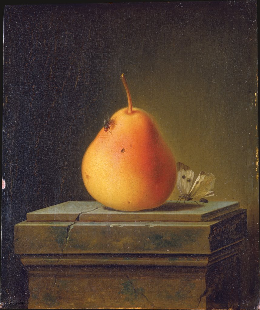 Still Life with Pear and Insects, Justus Juncker