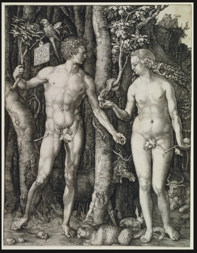 Adam and Eve (The Fall of Man), Albrecht Dürer